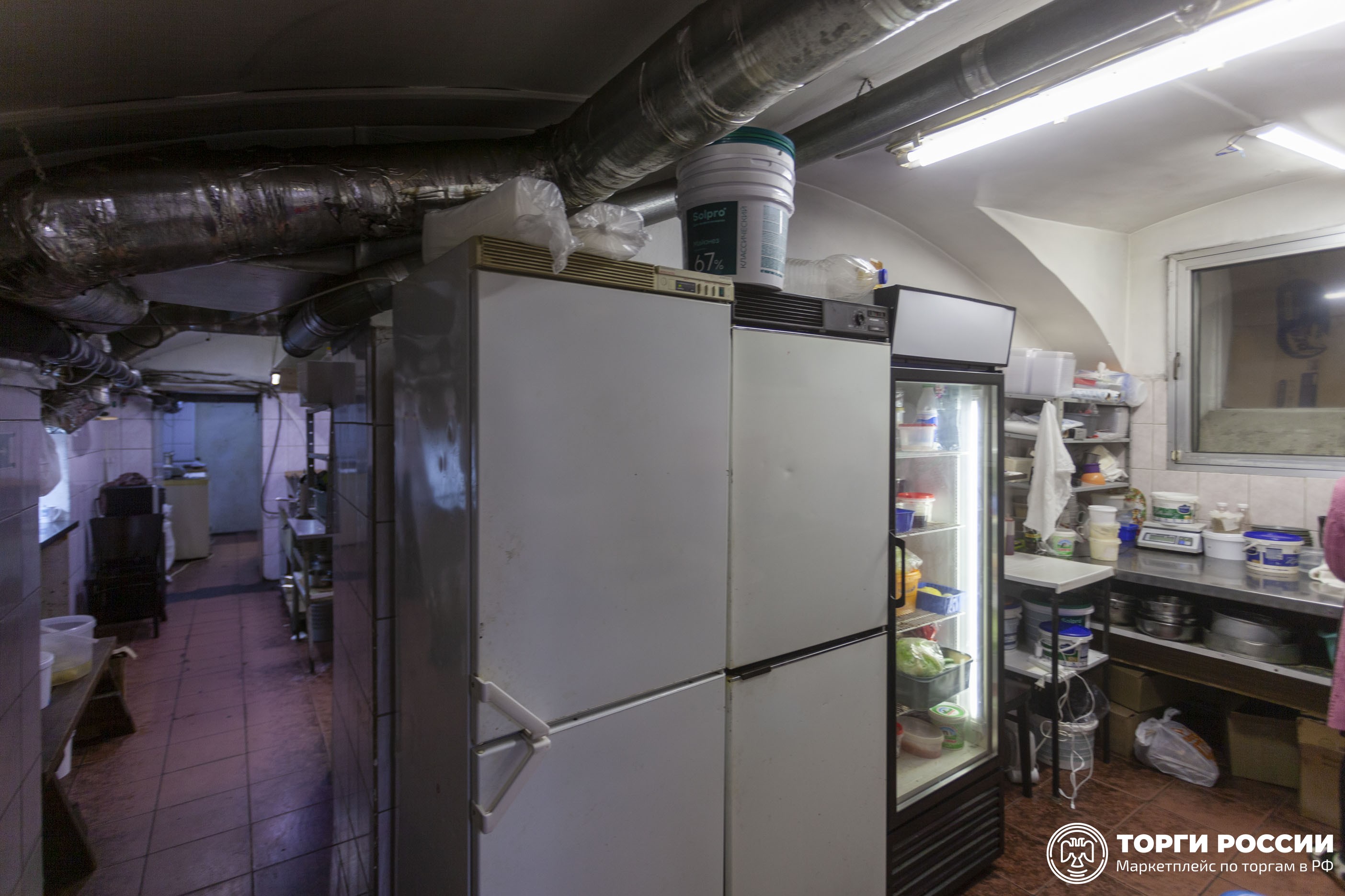 пушкин литера б. пушкин литера б. изображение пушкина. пушкин александр сергеевич день русского языка. журналы золотого века.