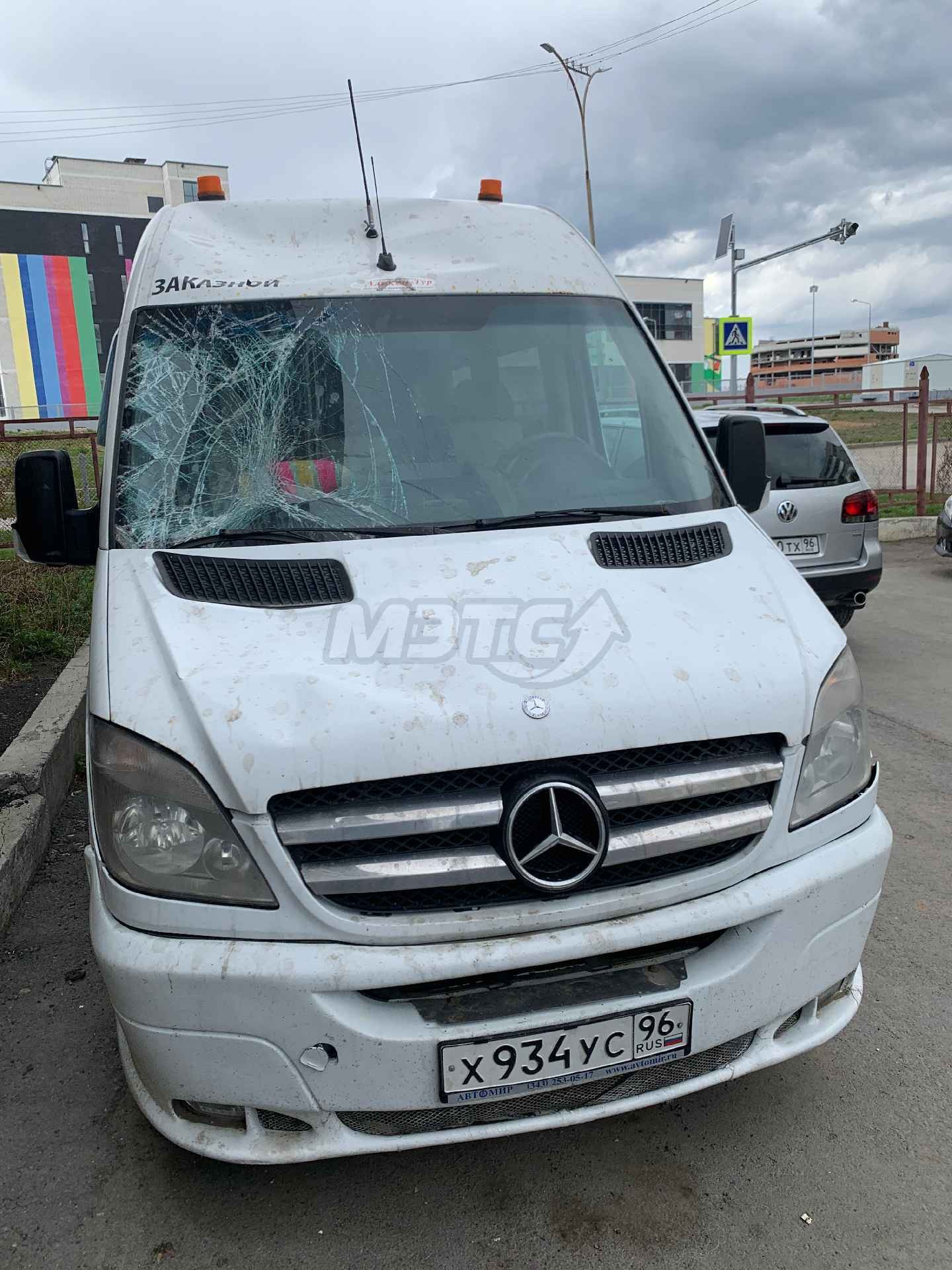 Mercedes Benz Sprinter 313 VIP