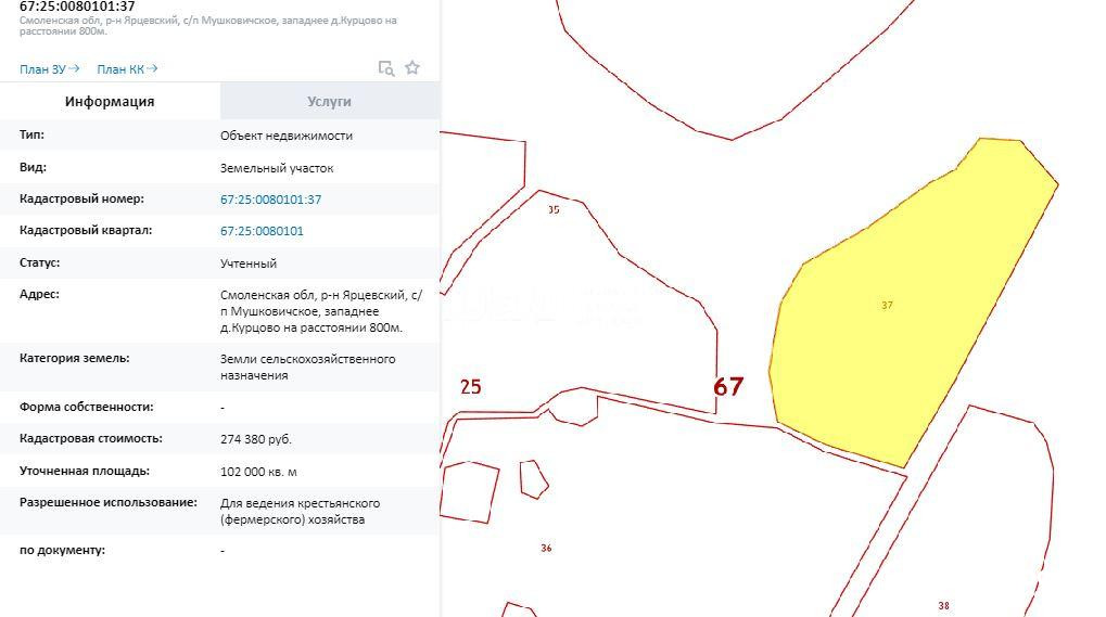 Кадастровая ярцево. Кадастровая карта Смоленского района Смоленской области. Кадастровая карта Смоленск. Публичная кадастровая карта Смоленской области.