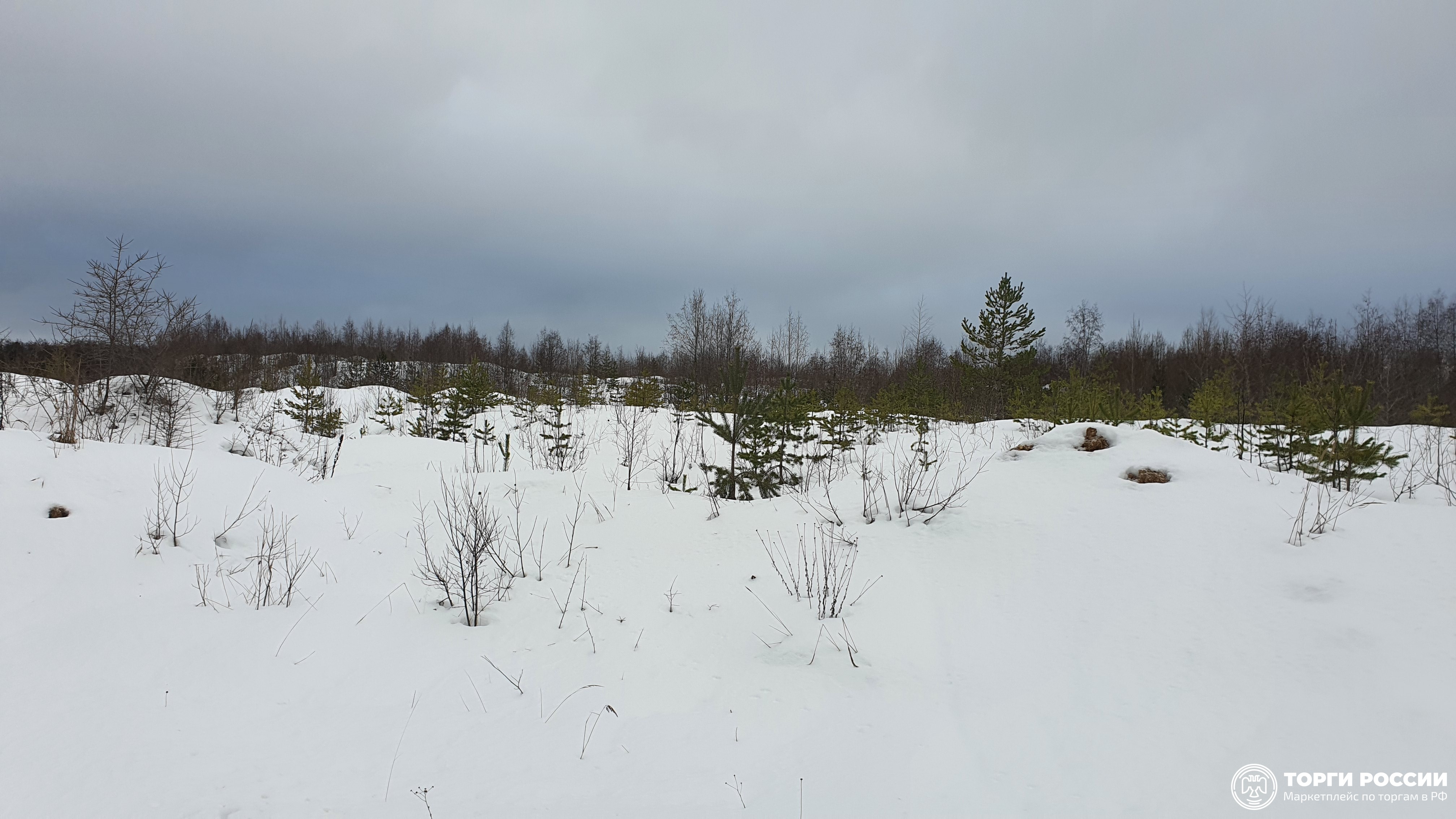 Окуловское городское поселение