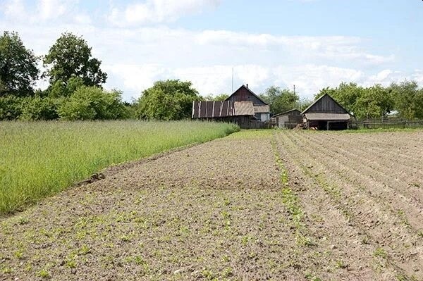 Под лпх. ЛПХ Земляной участок. ЛПХ Грачево. Небельский ЛПХ магистральный. ЛПХ Запрудный.