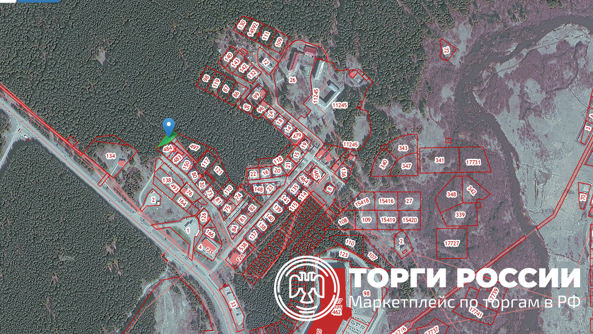 Продажа аренды леса