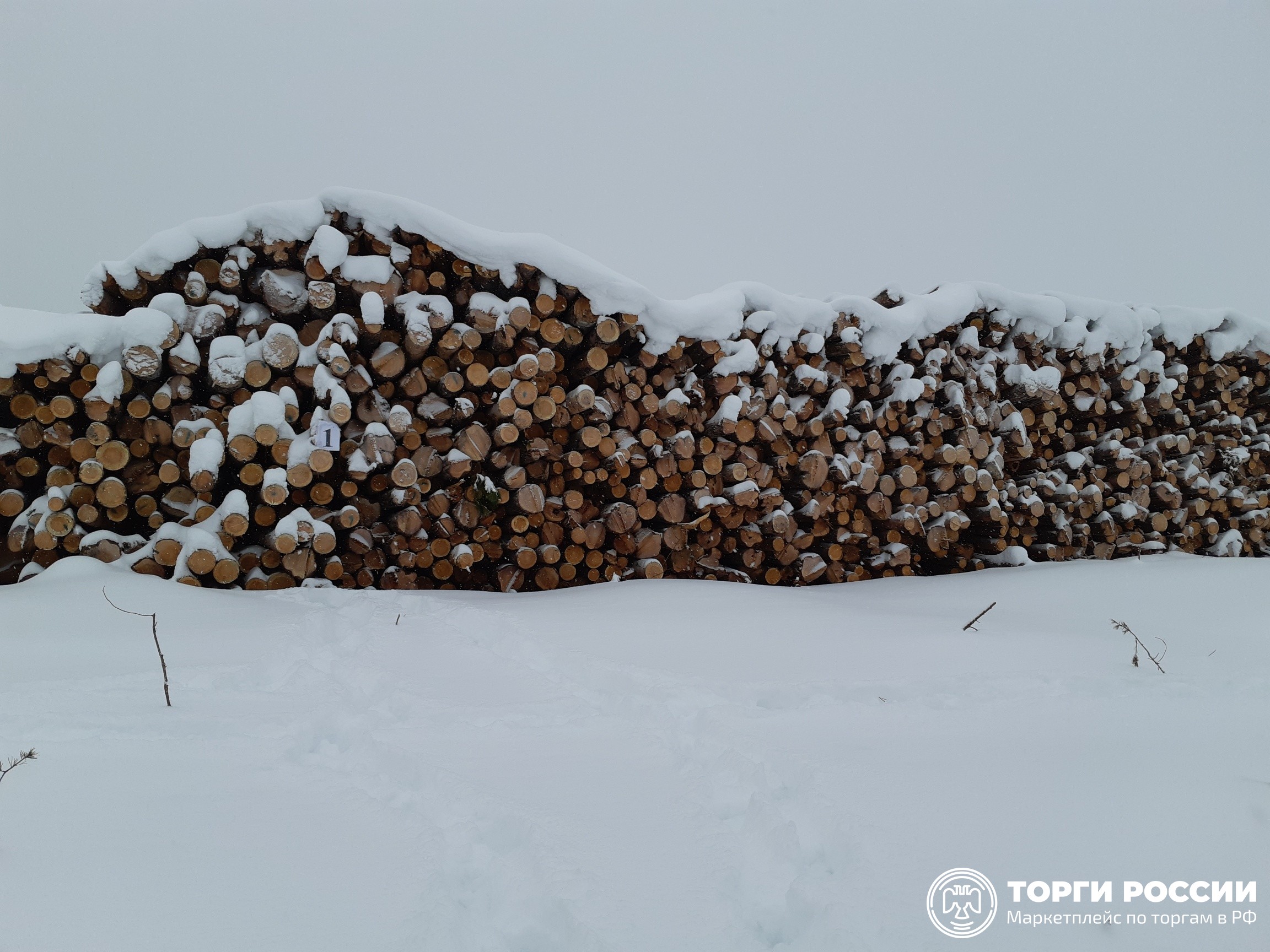Служба судебных приставов солнечногорск. Мира 44/2 судебные приставы сургут. Проспект мира 44/2 сургут. Радужный судебный пристав цибак т. Мира 44/2 приставы сургут.