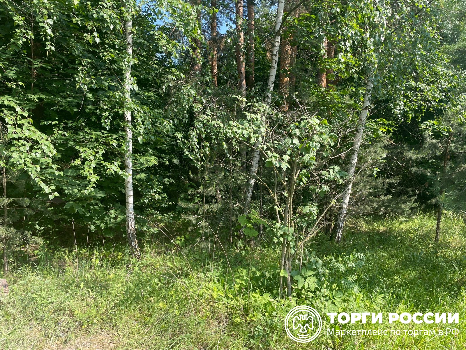 Торги земля московской. Торги земля московской. Дмитровский район д бабаиха на карте. Здание с площадью 15 га. Торги земля московской.