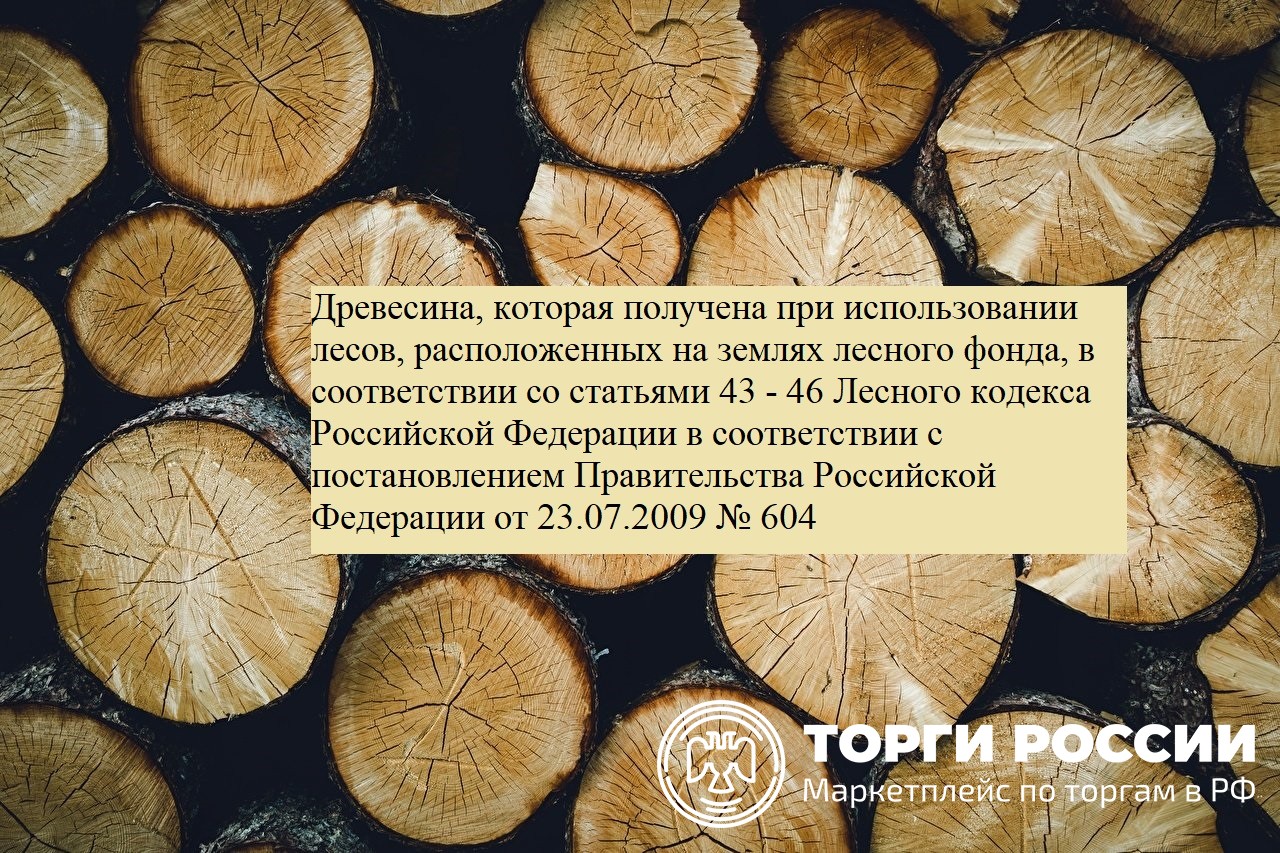Можно Ли Купить Земли Лесного Фонда