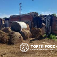 Изображение для лота №4515263