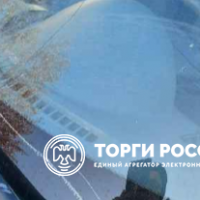 Изображение для лота №4515828