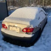 Изображение для лота №4516122