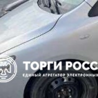 Изображение для лота №4519167