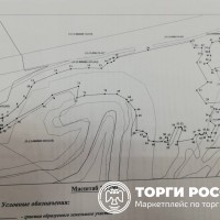Изображение для лота №4519701