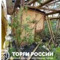 Изображение для лота №4515210