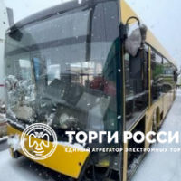 Изображение для лота №4519254