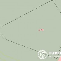 Изображение для лота №4519682