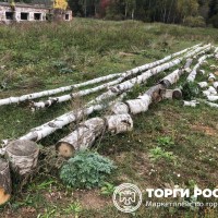 Изображение для лота №4519532