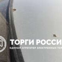 Изображение для лота №4519156