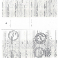 Изображение для лота №4512819