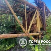 Изображение для лота №4515211