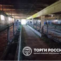 Изображение для лота №4515262