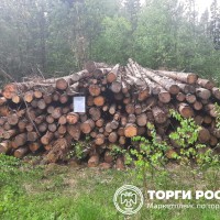 Изображение для лота №4518987