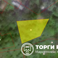 Изображение для лота №4501743