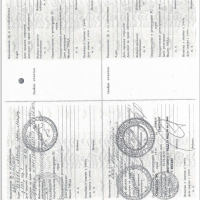 Изображение для лота №4512818
