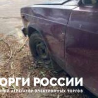Изображение для лота №4519758