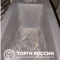 Изображение для лота №4490437