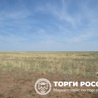 Изображение для лота №4498343