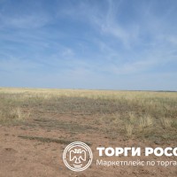 Изображение для лота №4498344