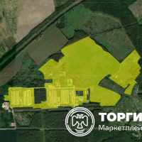 Изображение для лота №4253285