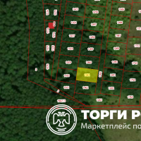 Изображение для лота №4520485