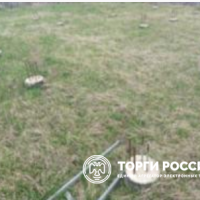 Изображение для лота №4520487