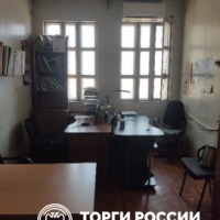 Изображение для лота №4455232