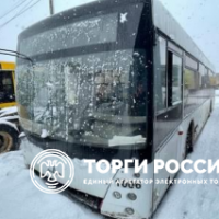 Изображение для лота №4519253