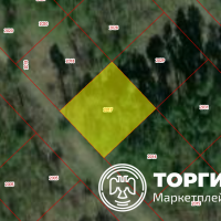 Изображение для лота №4519242