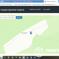 Изображение для лота №4520939