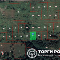 Изображение для лота №4519231