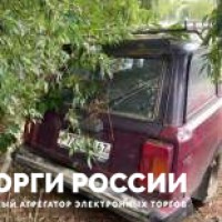 Изображение для лота №4519758