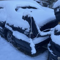 Изображение для лота №4516120