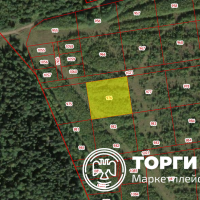 Изображение для лота №4520175