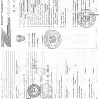 Изображение для лота №4512816