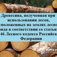 Изображение для лота №4521414