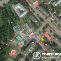 Изображение для лота №4517404