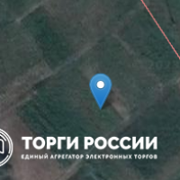 Изображение для лота №4520642