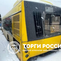 Изображение для лота №4519255
