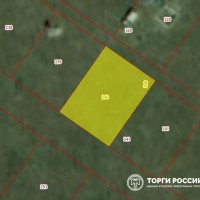 Изображение для лота №4516954