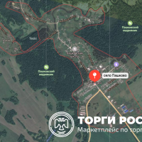 Изображение для лота №4505813
