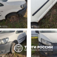 Изображение для лота №4518861