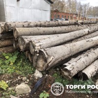 Изображение для лота №4519530