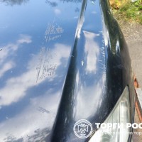 Изображение для лота №4518808